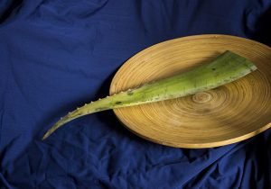 aloe vera stalk on plate