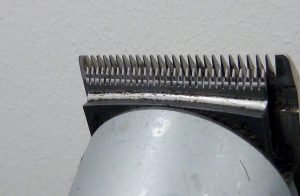 how to oil clippers - featured image